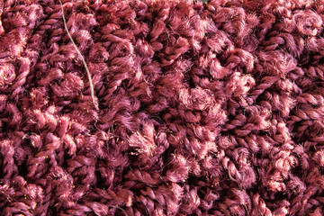 Samples of a multi-colored carpet, an example of pile and carpet color