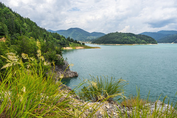 Zaovine Lake summer landscape in Tara national park in Serbia