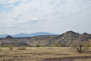 Fototapeta premium The arid landscapes of Lake Magadi, Kenya