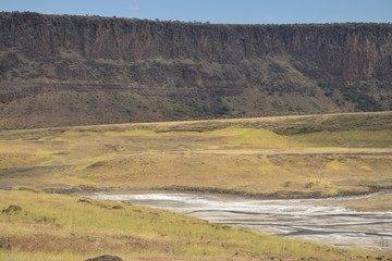 Little Magadi against a mountain background, Kenya