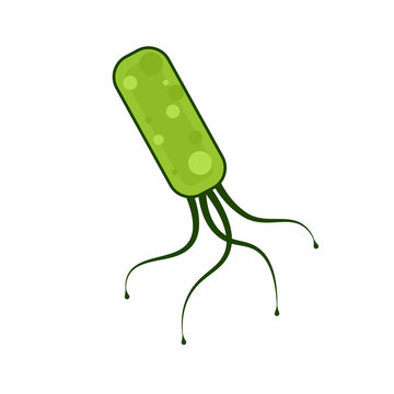 recommend clip art: Helicobacter Pylori icon