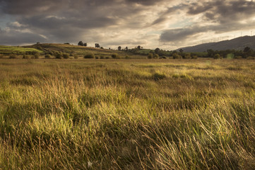 Atardecer en la llanura