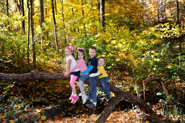 Fototapeta premium All in a Row