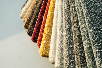 Samples of a multi-colored carpet, an example of pile and carpet color