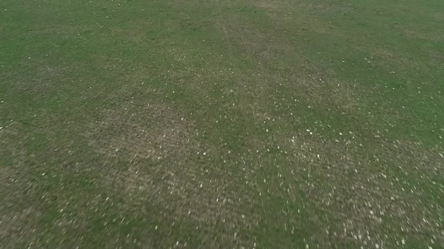 Aerial footage over a heard of cattle on a farm in South Africa