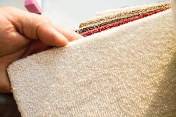 Samples of a multi-colored carpet, an example of pile and carpet color