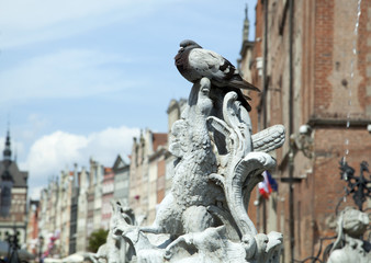 Gdansk Neptune Fountain Details