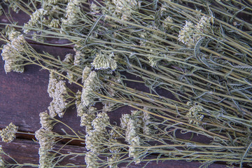 Heilkraut getrocknete Schafgarbe © fotogerstl