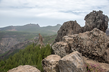 Blick auf Pico de las Nieves vom Roque Nublo