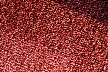 Samples of a multi-colored carpet, an example of pile and carpet color