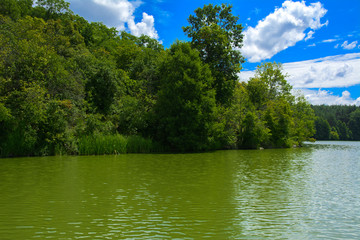 Fototapeta na wymiar A beautiful image of landscape from the center of the river, surrounded by trees and reeds on the shore and distant horizon against the blue sky in clouds. Reflection, water, tourist destination