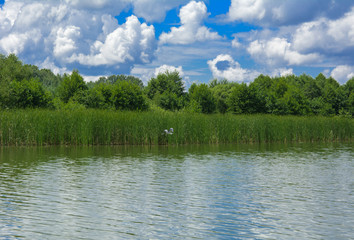 A beautiful image of landscape from the center of the river, surrounded by trees and reeds on the shore and distant horizon against the blue sky in clouds. Reflection, water, tourist destination