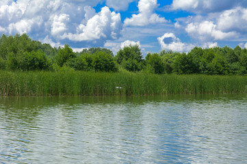 A beautiful image of landscape from the center of the river, surrounded by trees and reeds on the shore and distant horizon against the blue sky in clouds. Reflection, water, tourist destination