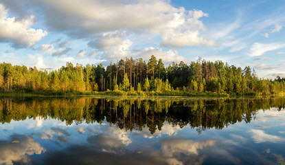 Панорама летнего вечернего пейзаж на Уральском озере с соснами на берегу, Россия, август