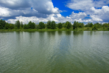 Fototapeta premium A beautiful image of landscape from the center of the river, surrounded by trees and reeds on the shore and distant horizon against the blue sky in clouds. Reflection, water, tourist destination
