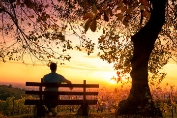 Naklejka na ściany i meble Enjoying the sunset on a bench