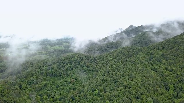 Drone flying over low level clouds on the hills Chiang Rai Thailand Mountains