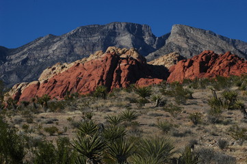Red Rocks in Desert