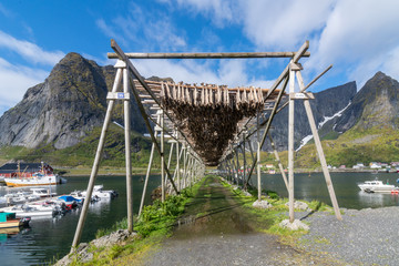 Lofoten Fischerdorf #8