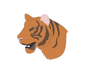 portrait of an orange tiger, vector