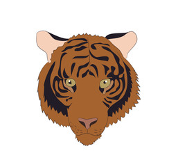 portrait of an orange tiger, vector