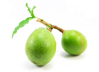 Medicinal Bael fruits on white background