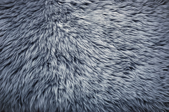 Fell-Textur - Hintergrund