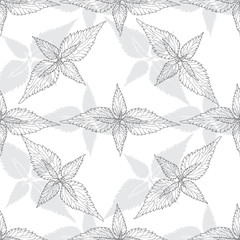 Monochrome floral pattern with leaves of nettle on white background. Seamless background.
