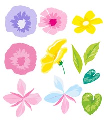 Flowers and leaves. Flat vector illustration