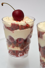 Triffle with berry