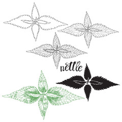 Nettle  isolated on white background.  Hand drawn vector illustration, sketch. Elements for design.