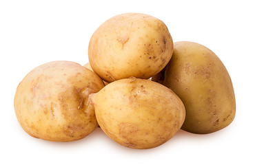 Young potatoes