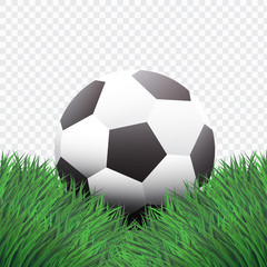 Realistic Style,Classic Football or Soccer on Green Grass design,isolated background,vector,illustration.