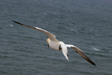 Vogelparadies 