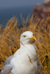 Vogelparadies 