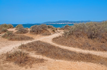 Natural coastal summer landscape with criss-crossing dirt paths dry herbs and crystal blue ocean.