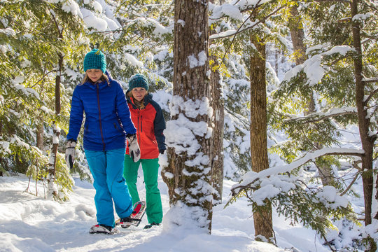 Pair of female friends snowshoeing in forest.