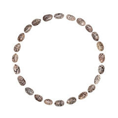 Chia seed arranged in a circle shape isolated on white background