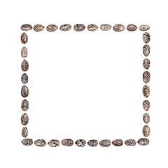 Chia seed arranged in a square shape isolated on white background