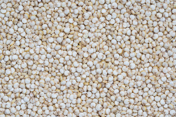 Quinoa seeds covering the full frame