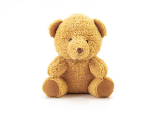 Teddy isolated on white background