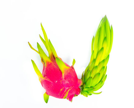 Dragon fruit, raw dragon pittaya fruit isolated on white background