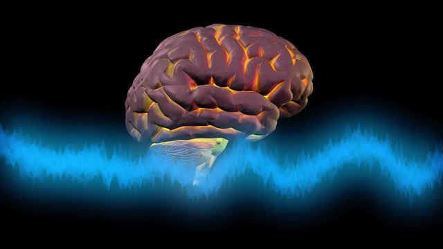 Brainwaves in front of glowing brain. 3d animation