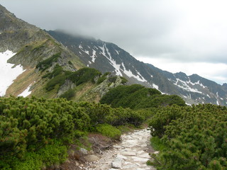 Tatry, szlak Doliny Pięciu Stawów Polskich nad Morskie Oko przez Świstówkę, czerwiec © Ewa