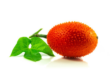 Baby jackfruit fresh isolated on white background
