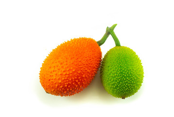 Baby jackfruit isolated on white background