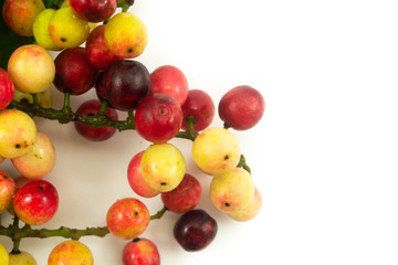 Close up thai blueberry on white background