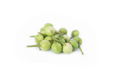 Turkey berry, Pea eggplant, Solanum Torvum isolated on white background