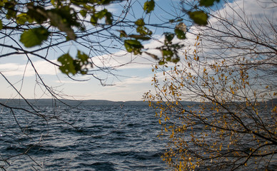 Blick durch das herbstliche Laub auf den Großen Plöner See