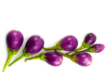 Eggplant purple isolared on white background